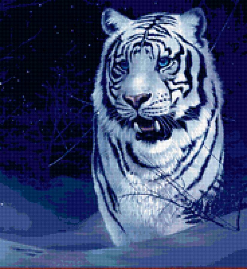 белый,ночной-красавец - предпросмотр