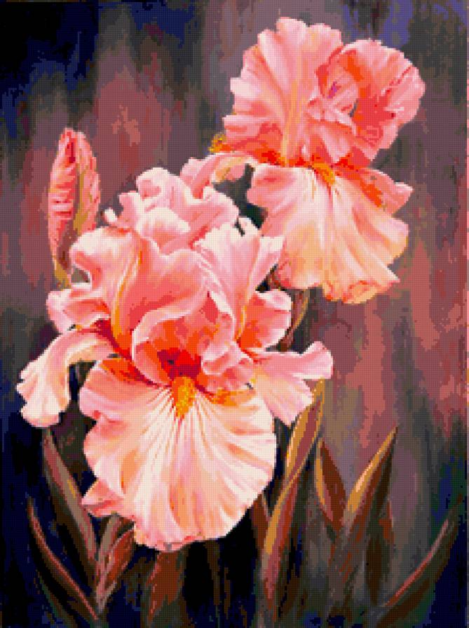 Ирисы 1 - предпросмотр