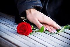 №254589 - розы, пара, цветы, влюбленные - оригинал