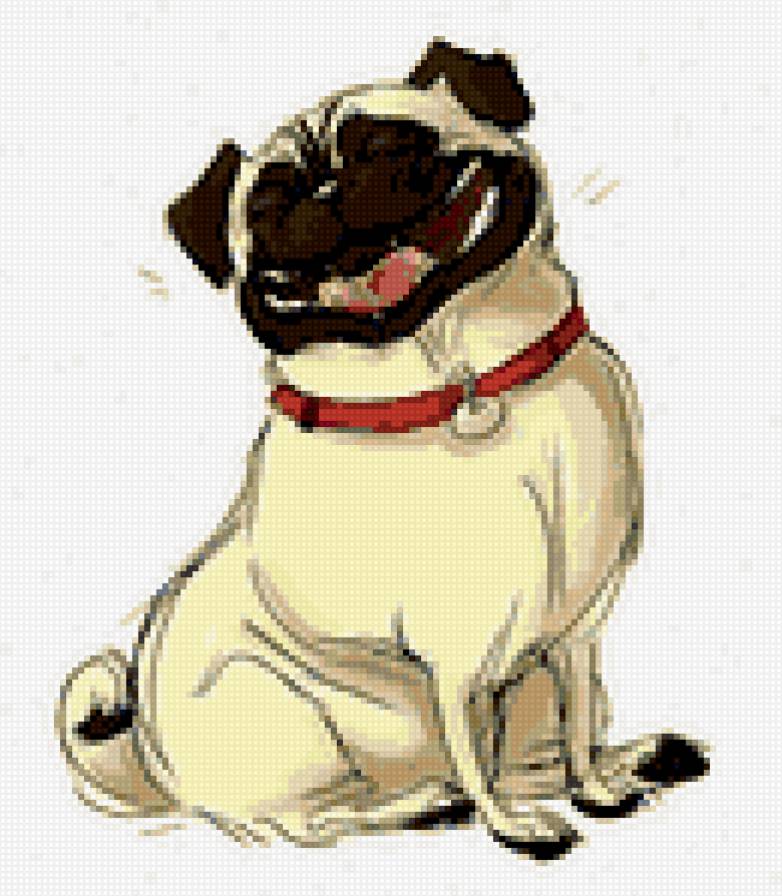 смеющийся мопс - юмор, собака, мопс - предпросмотр