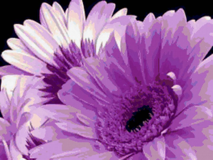 №254921 - цветы - предпросмотр