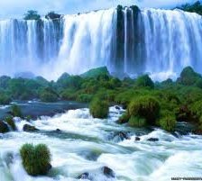 Схема вышивки «№255070»