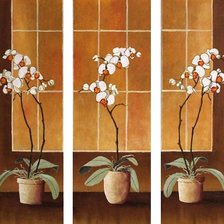 Оригинал схемы вышивки «триптих орхидеи» (№255300)