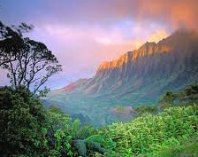 Схема вышивки «№255625»