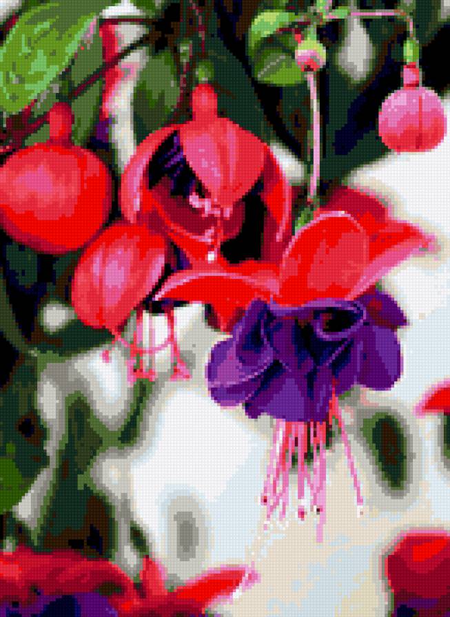 ветка фуксии - цветы ветка фуксия картина - предпросмотр