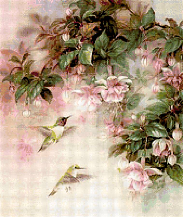 калибри и фуксия - картина природа цветы фуксия птицы калибри - предпросмотр