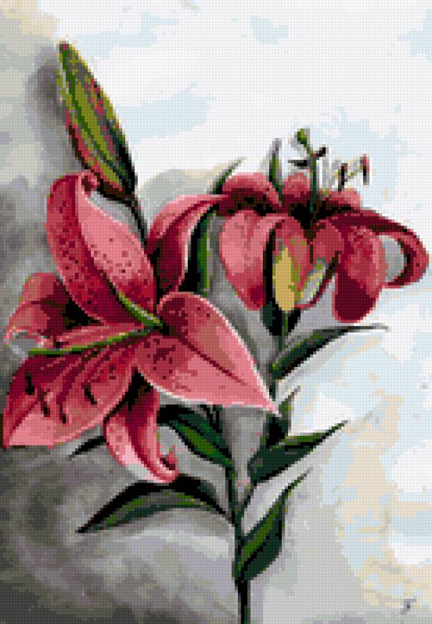 лилия - цветы лилии - предпросмотр