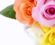 Схема вышивки «№255878»