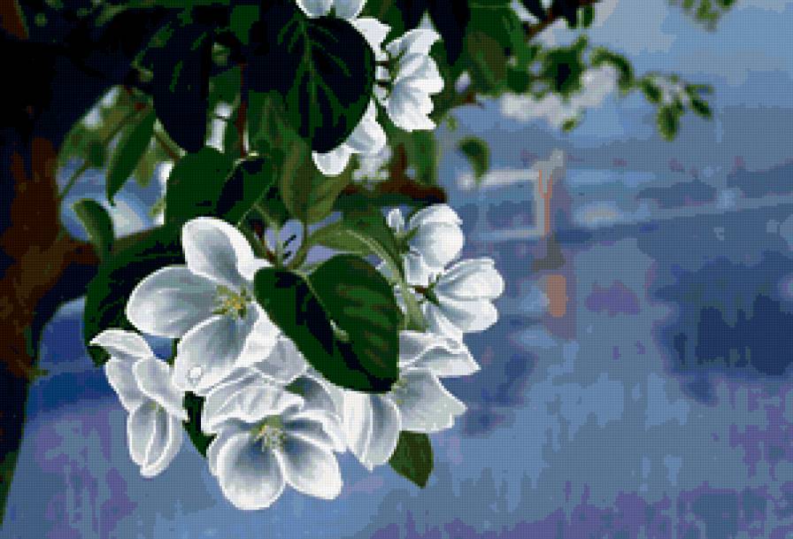 Ветка яблони - цветы, растения, деревья - предпросмотр