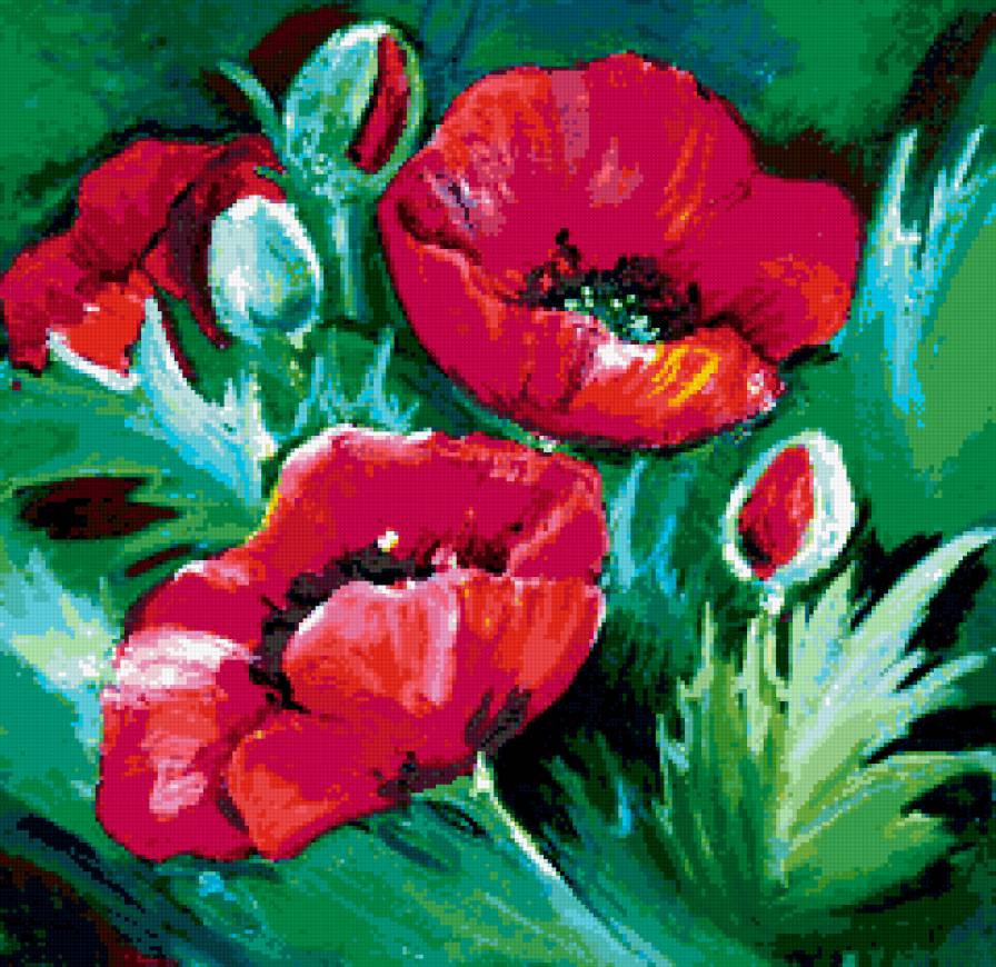 маки - цветы - предпросмотр