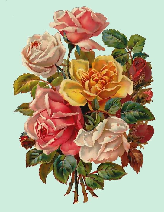 букет роз - розы, цветы, букет - оригинал