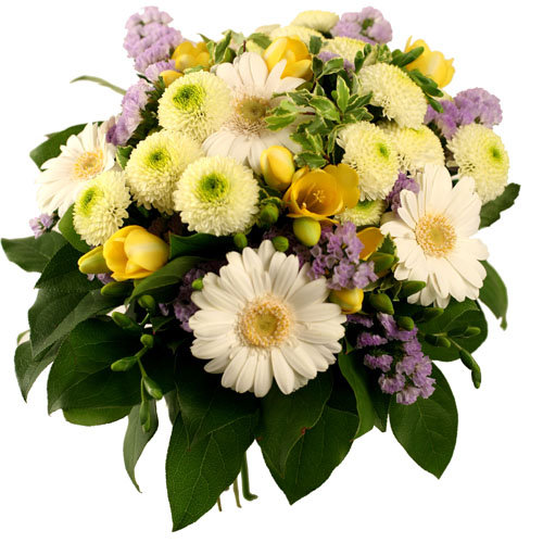 букет - астры, герберы, букет, цветы - оригинал