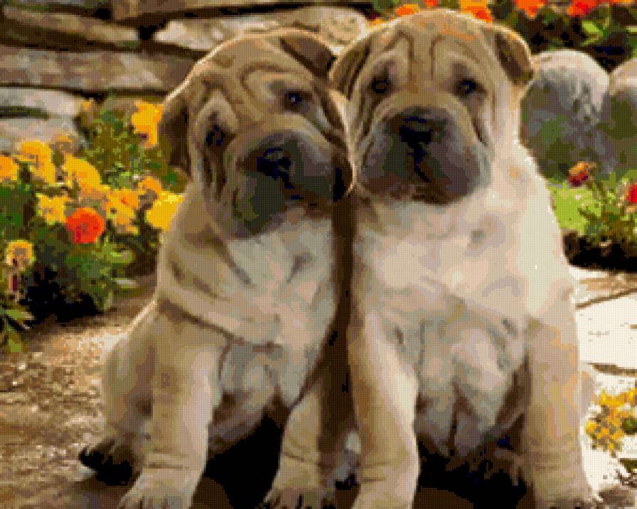 №256233 - собачки, животные - предпросмотр