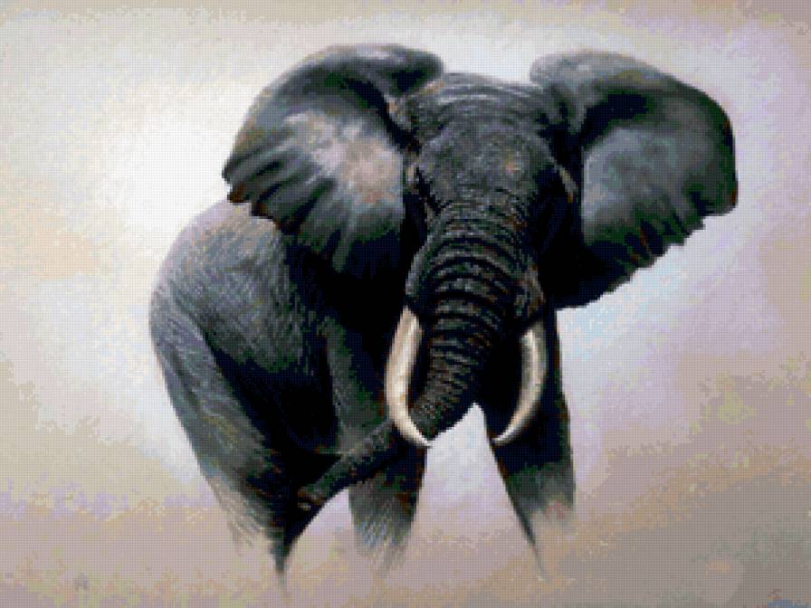 Слон - животные - предпросмотр