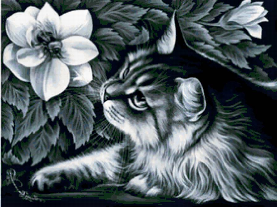 кот - черно-белое, кот, монохром - предпросмотр