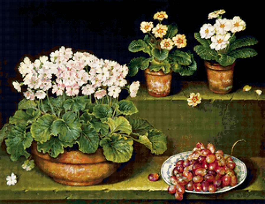 Примулы Хосе Эскофета - натюрморт, цветы - предпросмотр