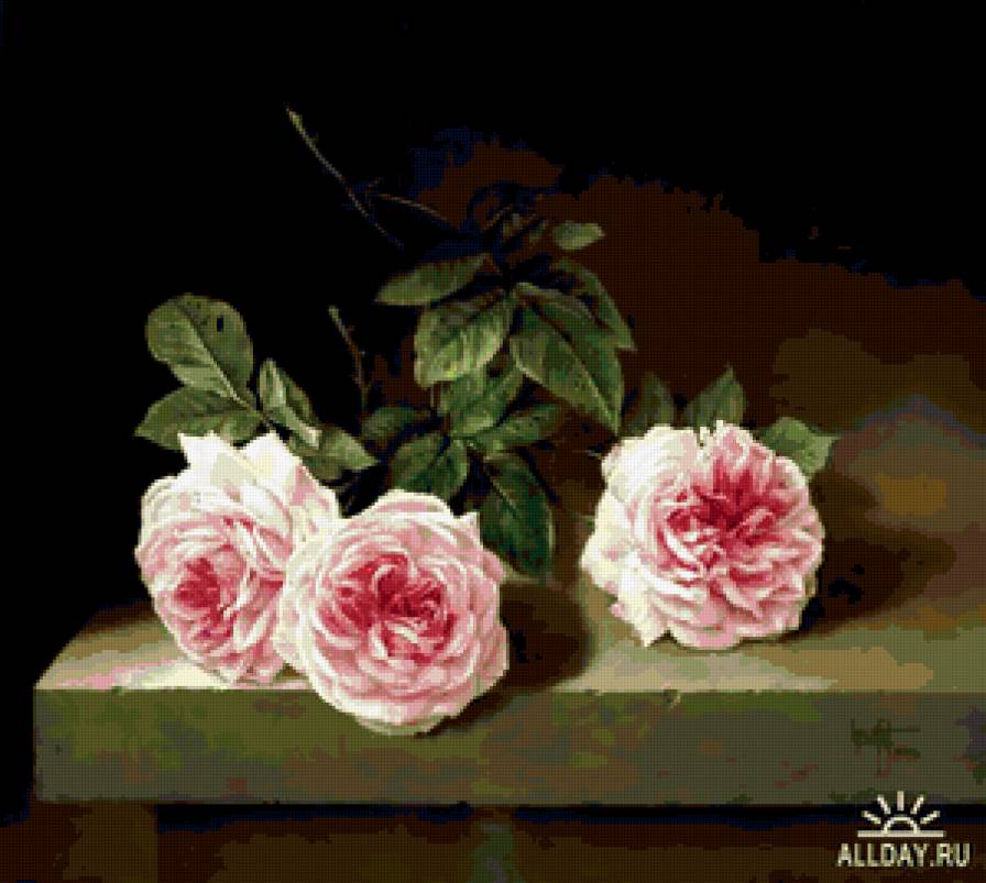 Розы,Хосе Эскофет - цветы, розы - предпросмотр