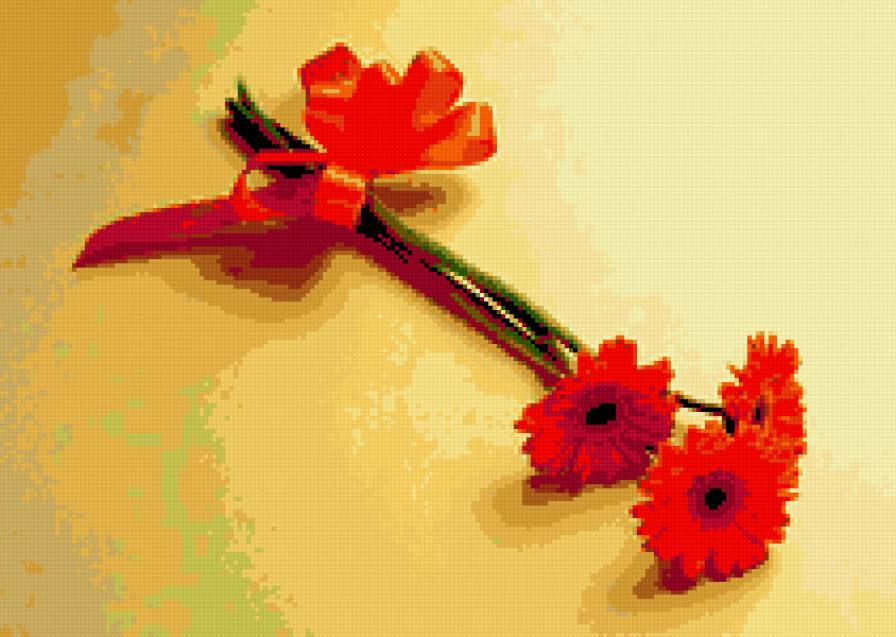 герберы - цветы - предпросмотр