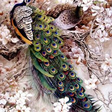 Схема вышивки «№3»