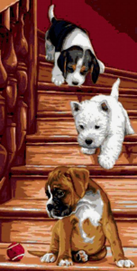 щеночки - собака, животные, щенок - предпросмотр