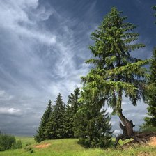 Схема вышивки «летний день»