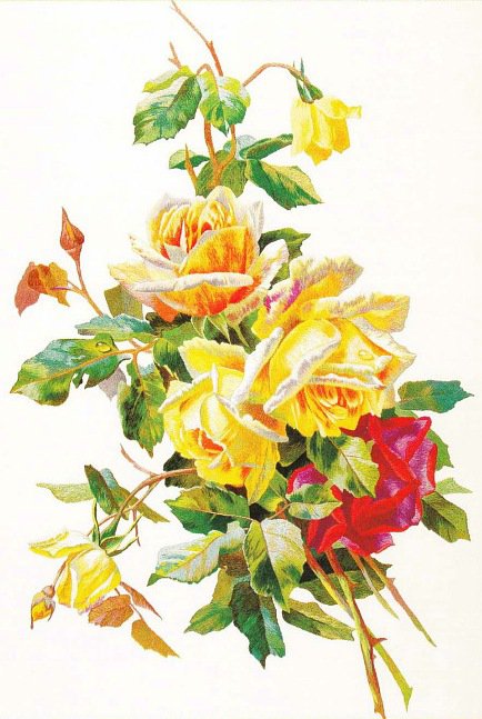 №257073 - оригинал