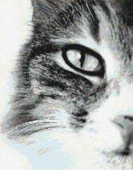 №257115 - оригинал