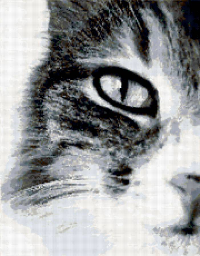 №257115 - предпросмотр