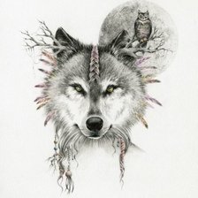 Схема вышивки «ВЗГЛЯД ВОЛЧИЦЫ»