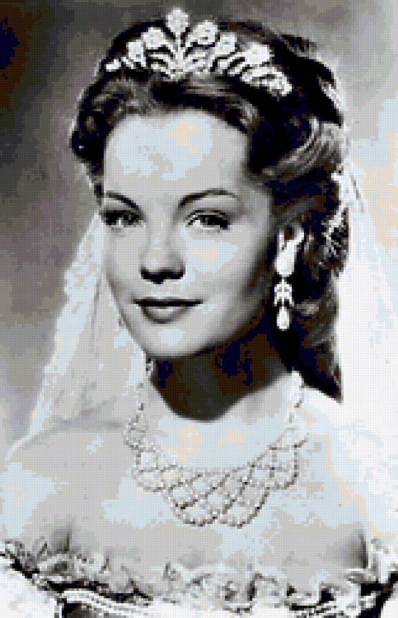 №257604 - предпросмотр