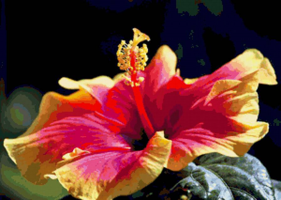 №257610 - цветы - предпросмотр