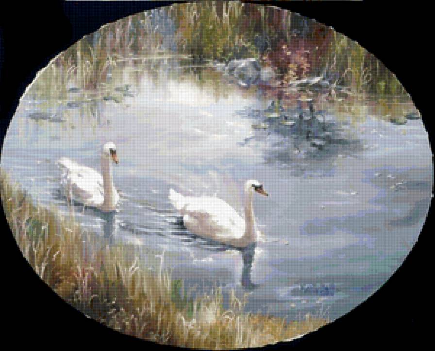 Серия "Птицы" - пейзаж, лето, лебеди, птицы, река - предпросмотр