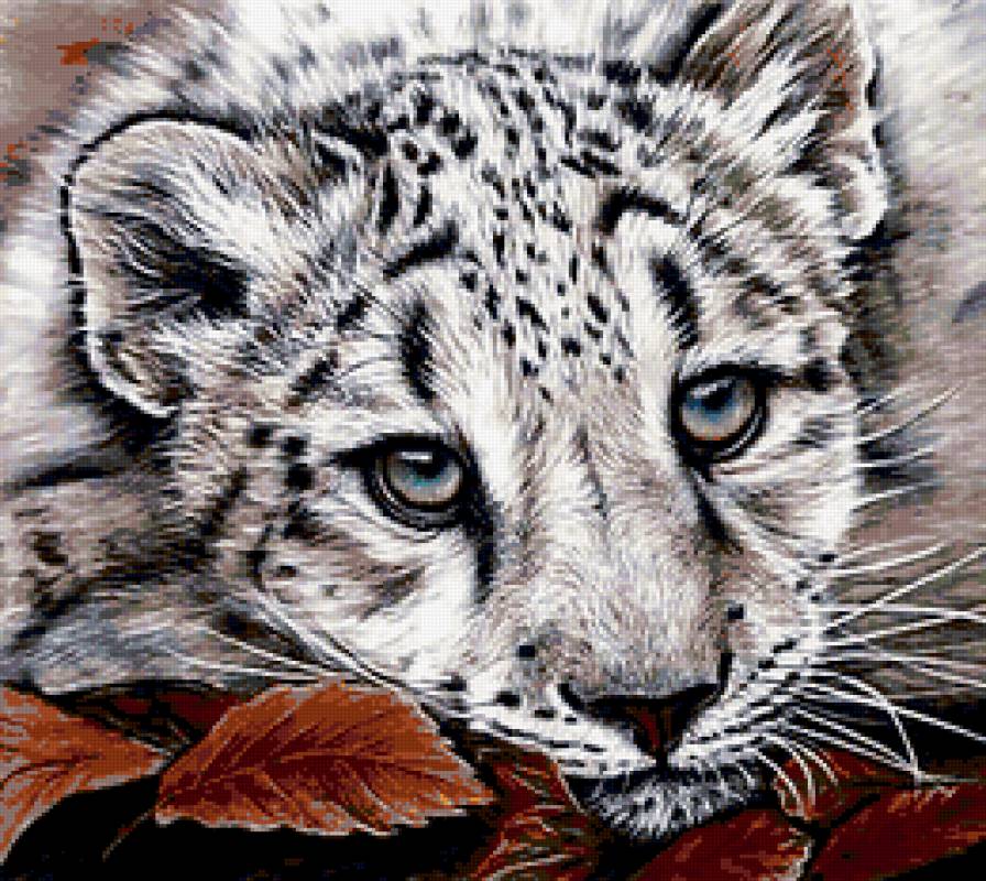 Взгляд - глаза, леопард, животные, взгляд - предпросмотр