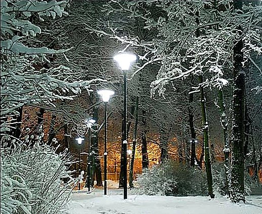 Ночная аллея - фонари, аллея, парк, зима - оригинал