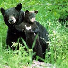 Схема вышивки «мать и малыш»