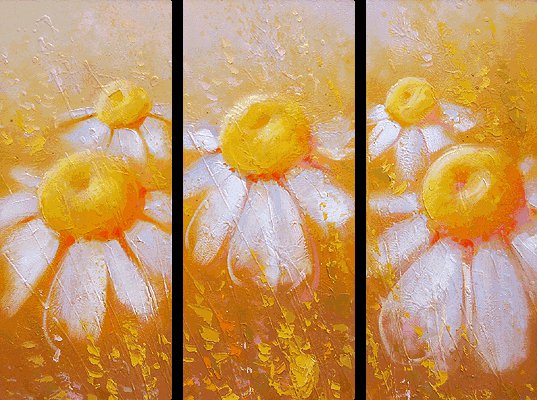 Ромашки - ромашки, цветы - оригинал