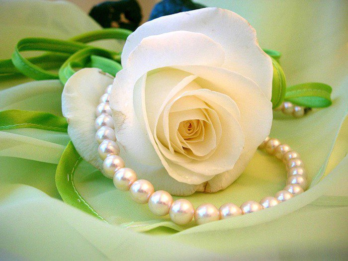 Розы и жемчуг - цветы, жемчуг, украшения, розы - оригинал