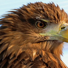 Схема вышивки «№258226»