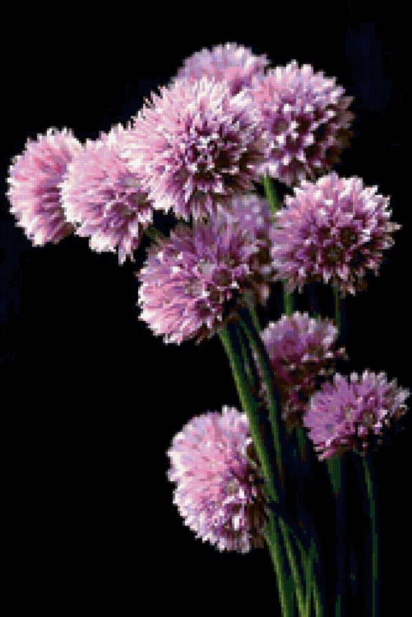 №258255 - предпросмотр