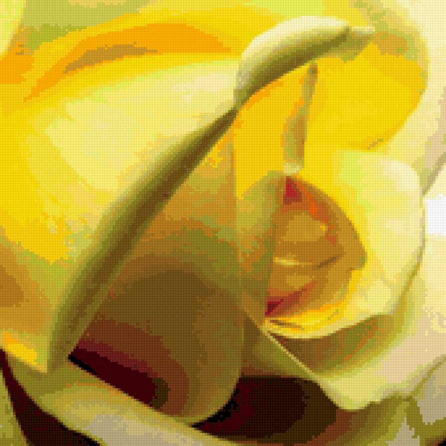 Серия ЦВЕТЫ. Белая роза - подушка, роза, цветы - предпросмотр