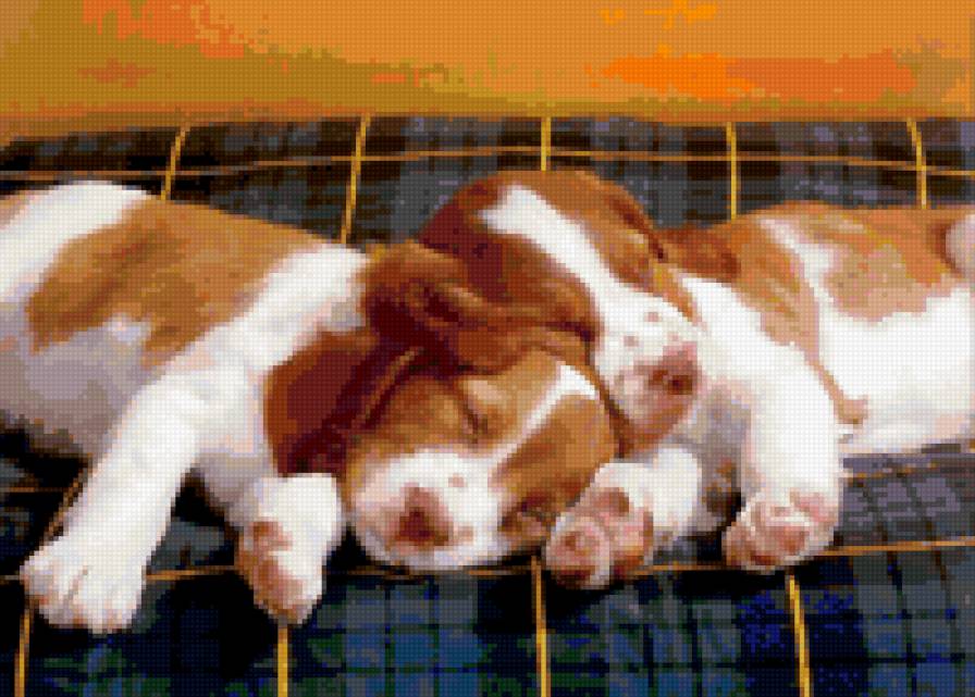 Серия СОБАКИ. Спящие щенки - животные, щенок, друзья, собака - предпросмотр