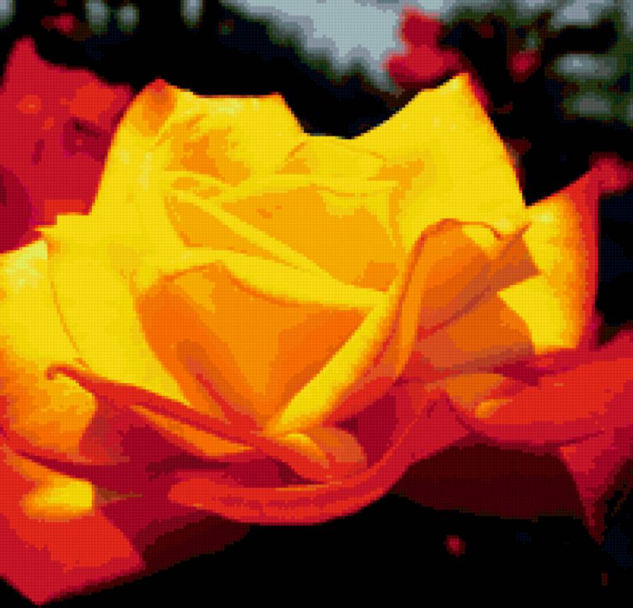 Серия ЦВЕТЫ. желтая роза - желтая роза, подушка, роза, цветы - предпросмотр
