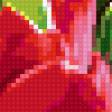 Предпросмотр схемы вышивки «Серия ЦВЕТЫ. Тюльпаны» (№258305)