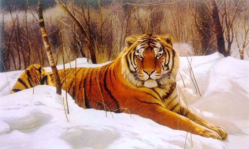 №258389 - оригинал