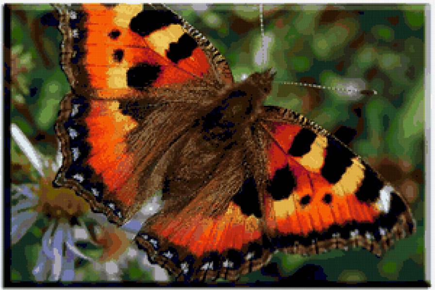 №258529 - предпросмотр