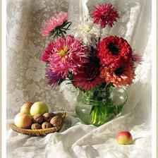 Схема вышивки «астры»