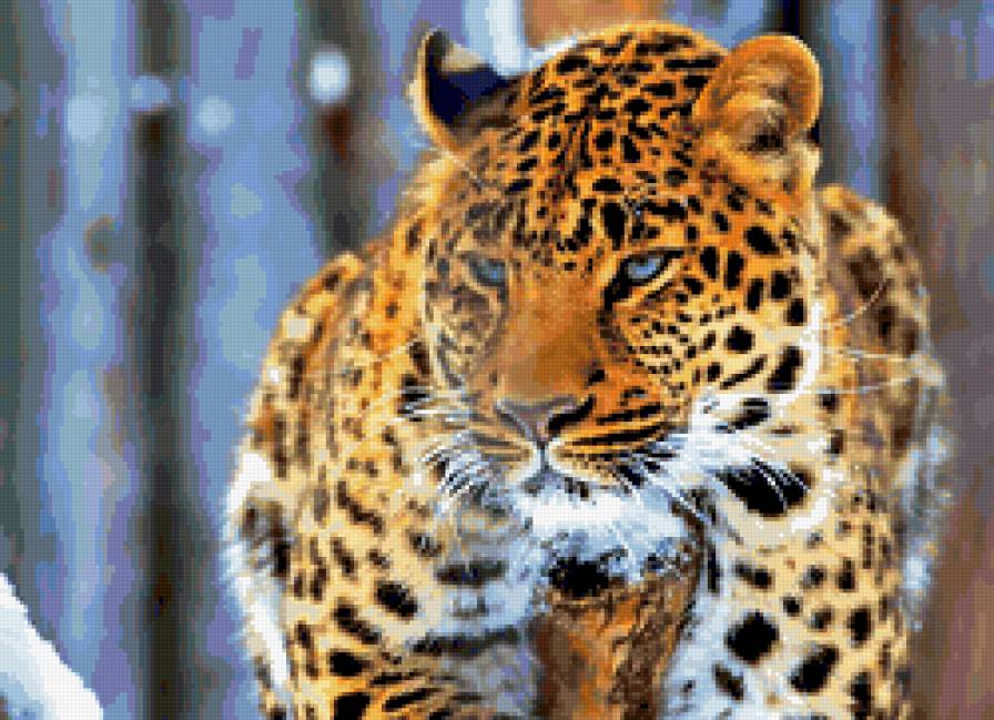 №258574 - предпросмотр