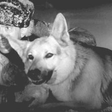 Схема вышивки «Ко мне, Мухтар!»