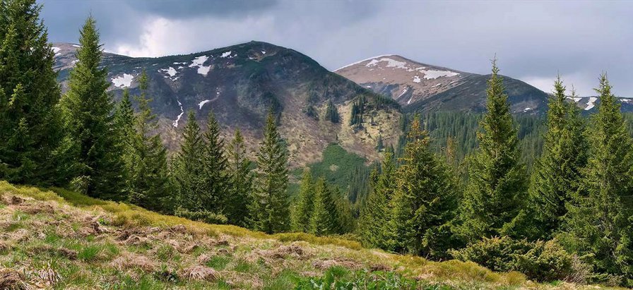 Говерла - карпаты, весна, горы - оригинал