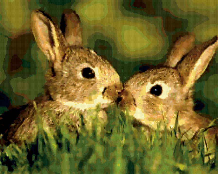 Зайчики - предпросмотр